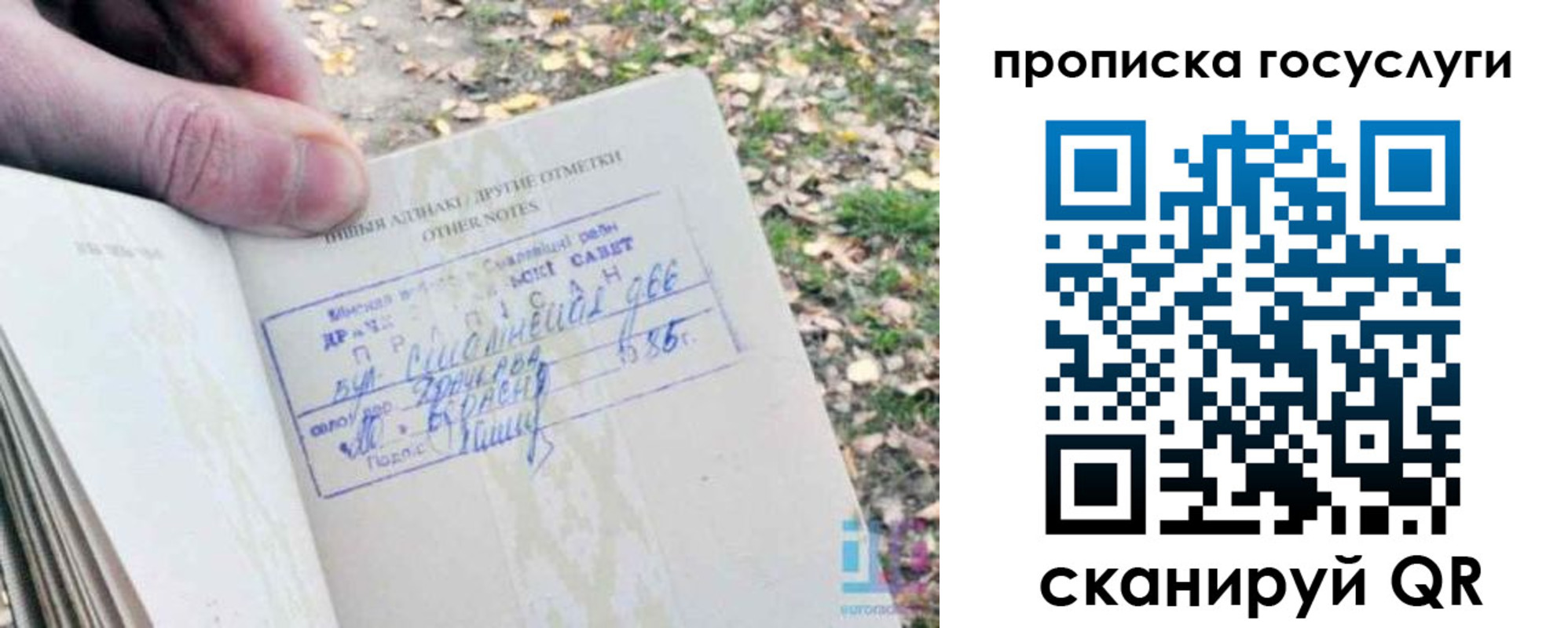 временная регистрация собственник в Камчатском крае